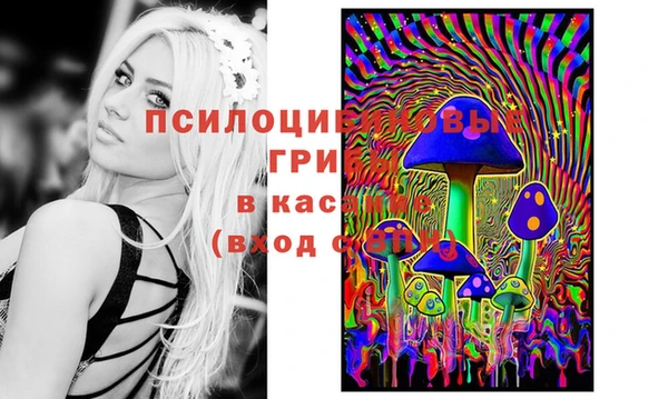 меф Михайловск