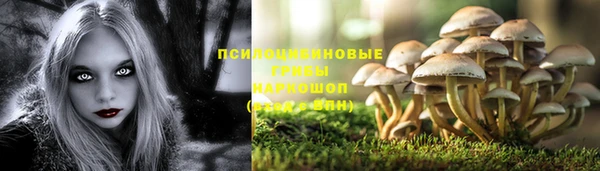меф Михайловск