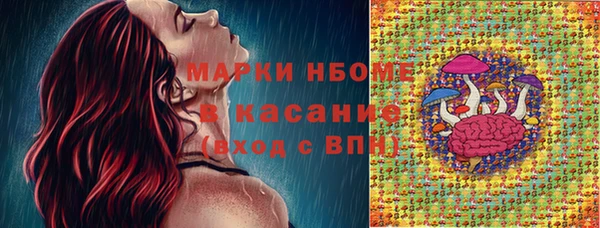 стаф Бикин