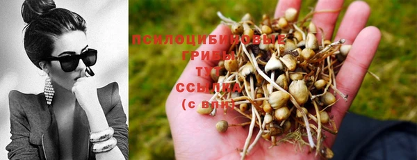 крисы Михайловка