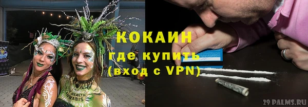 крисы Михайловка