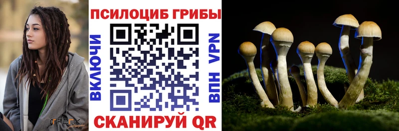 сайты даркнета Telegram  Болохово  ссылка на мегу   Псилоцибиновые грибы ЛСД  хочу  